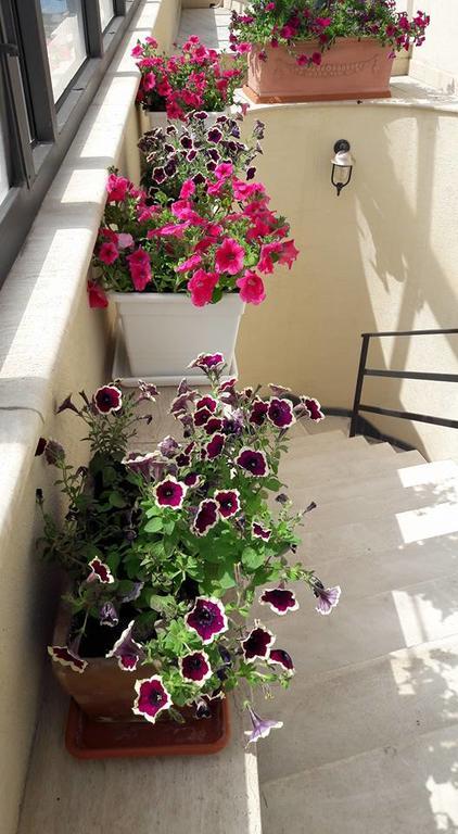 Palazzo Reginella Aparthotel 2*